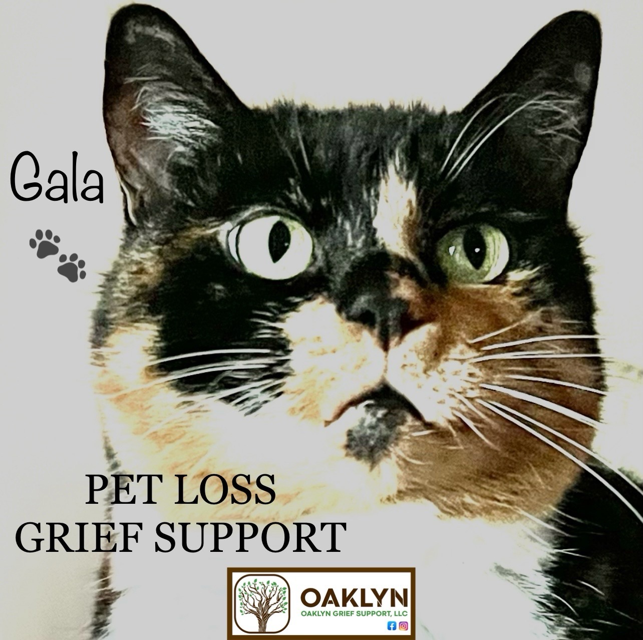 Pet Grief Support